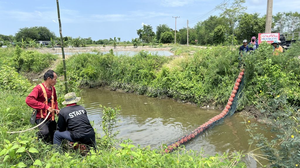 Marine (7)